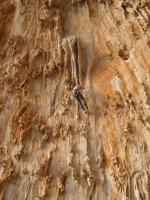 SNV80279.JPG